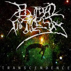 Burial In The Sky : Transcendence
